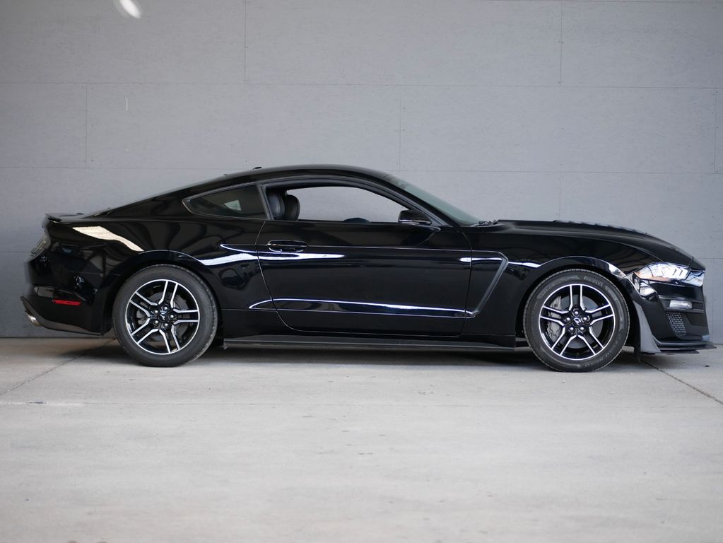 Ford Mustang GT 5.0 V8  Schalter * Shelby 500 Look *