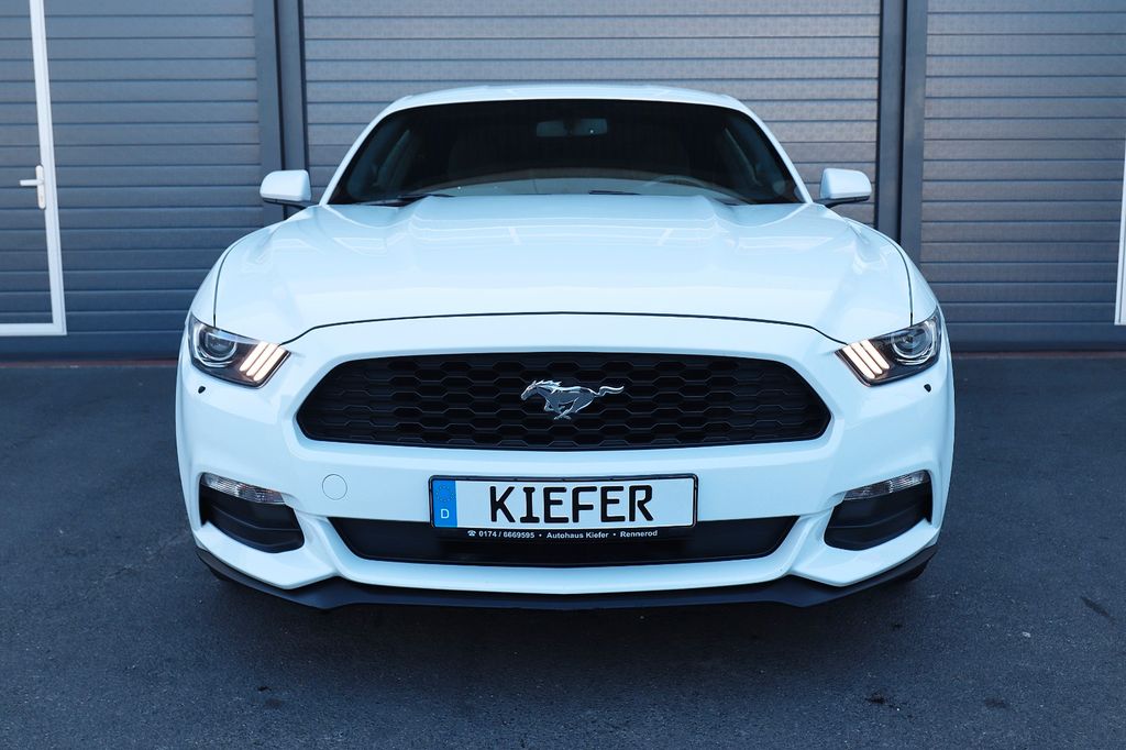 Ford Mustang 3.7L/LED/KAMERA/PDC/BTH/KLIMA/R19