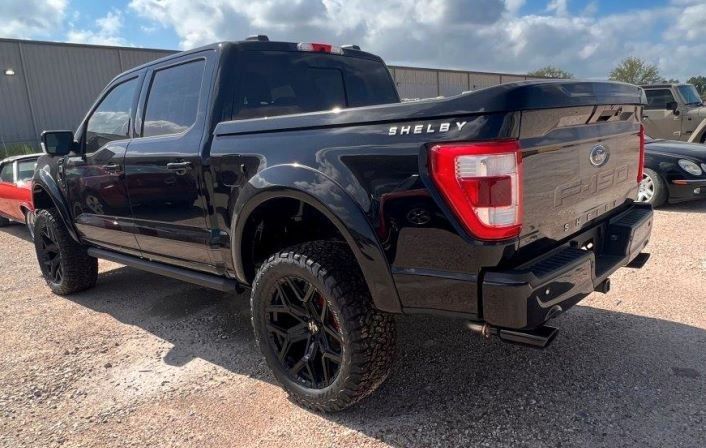 Ford F 150 Shelby Offroad