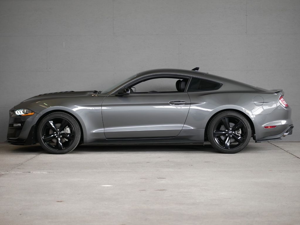 Ford Mustang 2.3 EcoBoost  Premium *Shelby 500 Look*