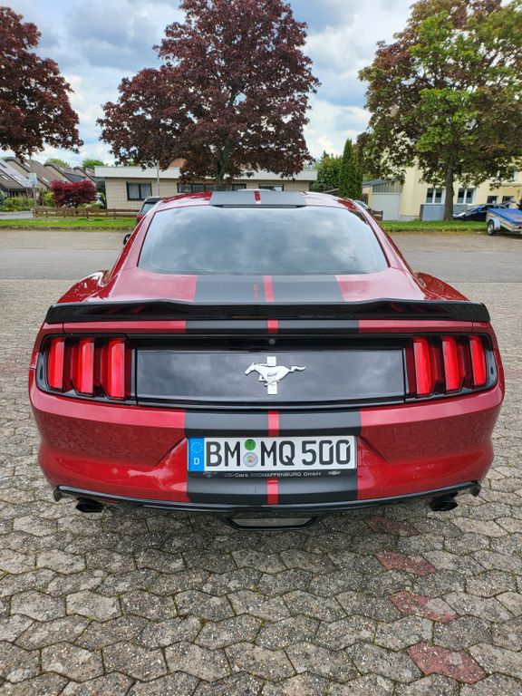 Ford Mustang V6 Shelby Optik