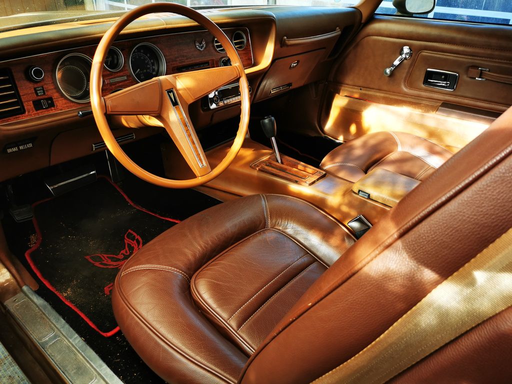 Pontiac Firebird Esprit im Rockford Style, Rarität