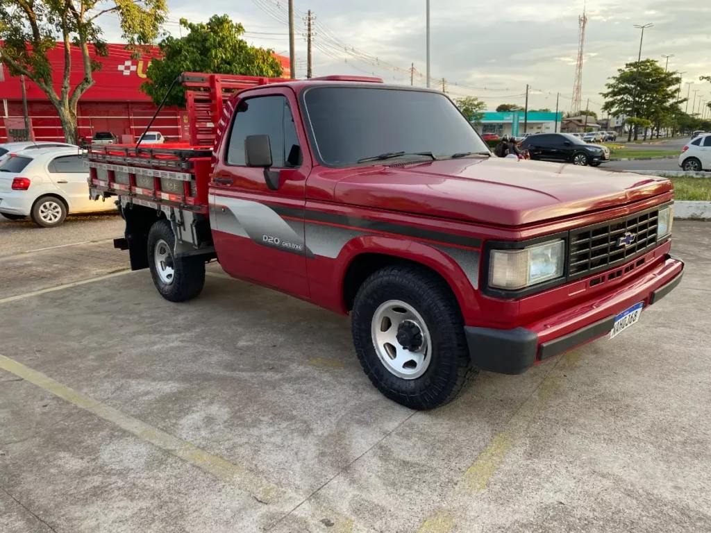 Chevrolet D20