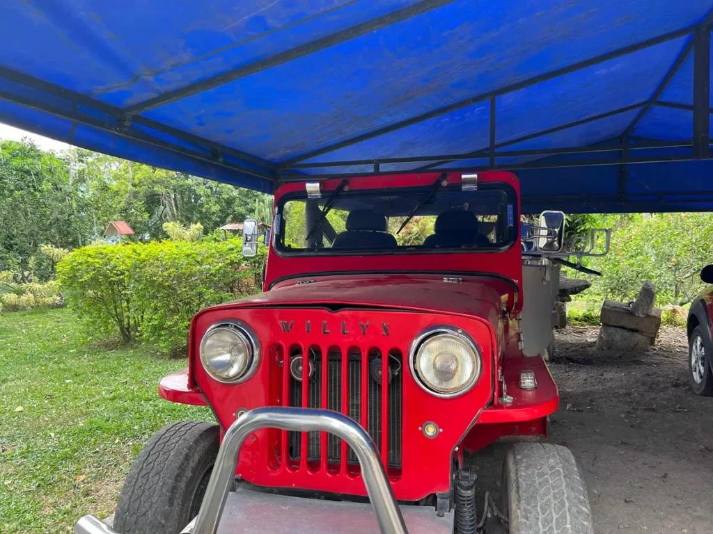 Jeep Cj Carpado