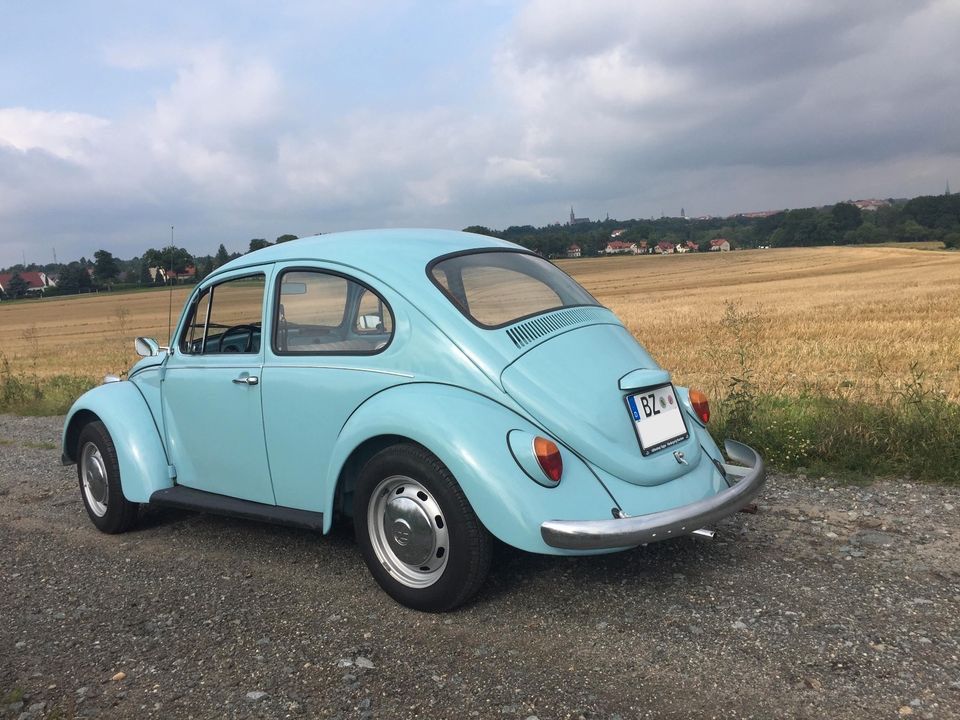 Volkswagen Käfer, Modell Sparkäfer