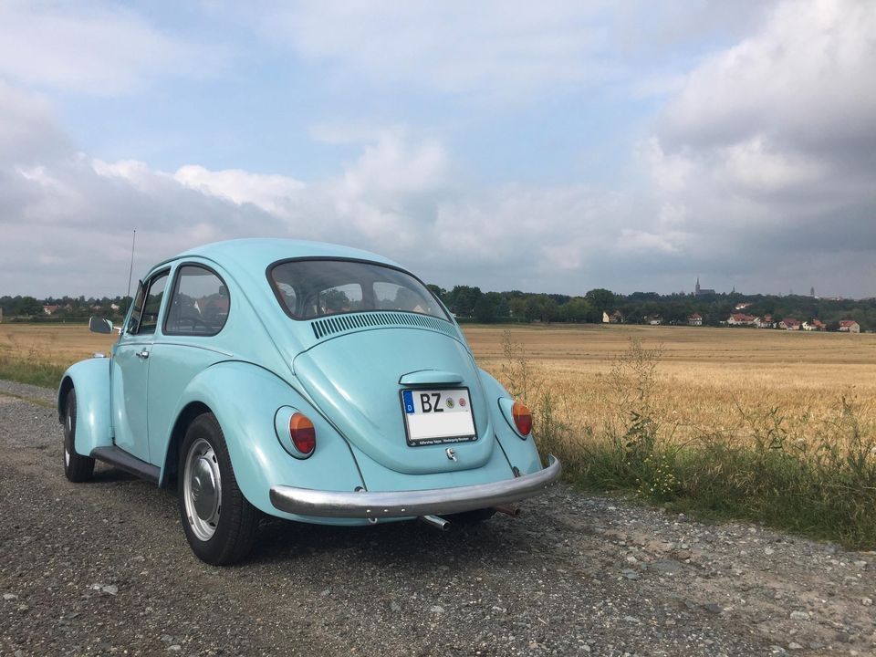 Volkswagen Käfer, Modell Sparkäfer