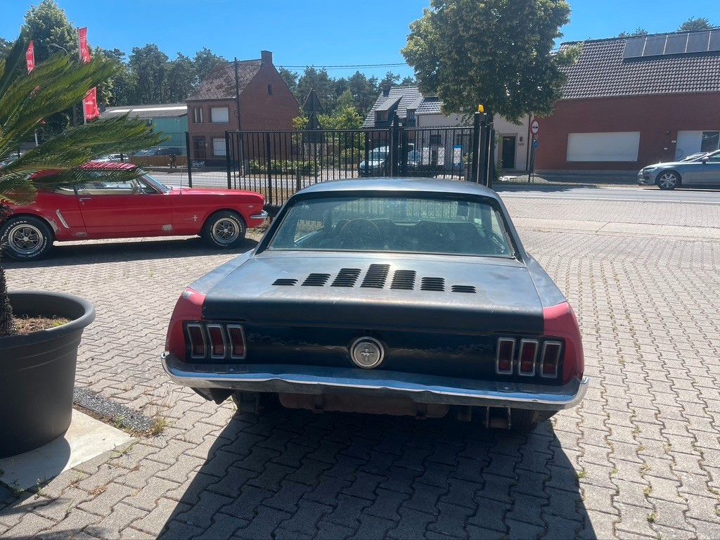 Ford Mustang V8 289 ci