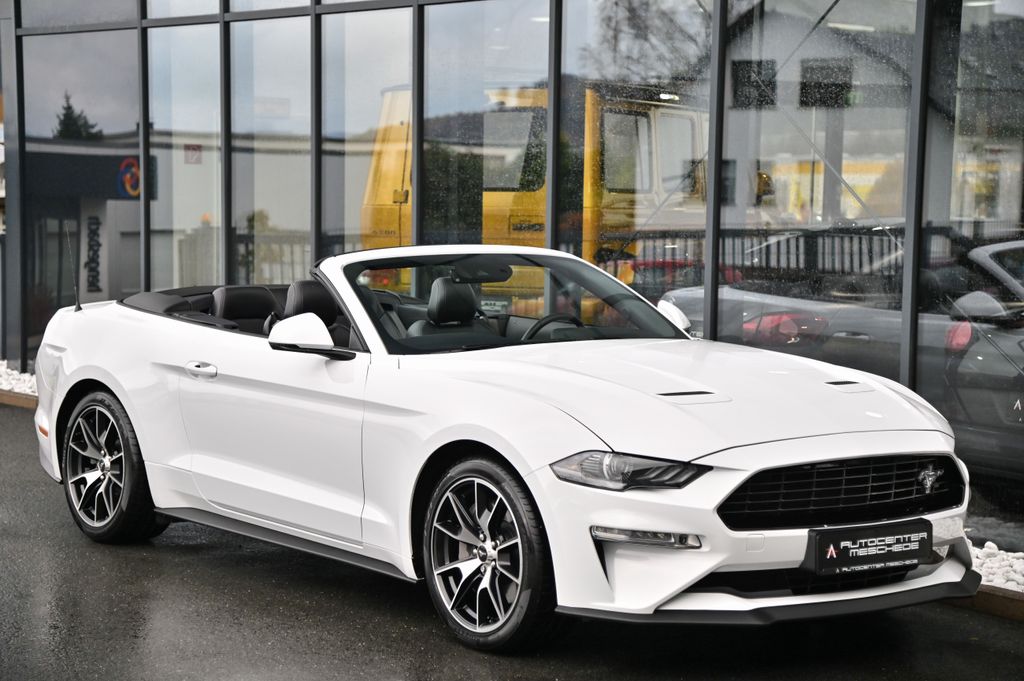 Ford Mustang Cabrio 2.3 EcoBoost 55-Paket* 4-Rohr*