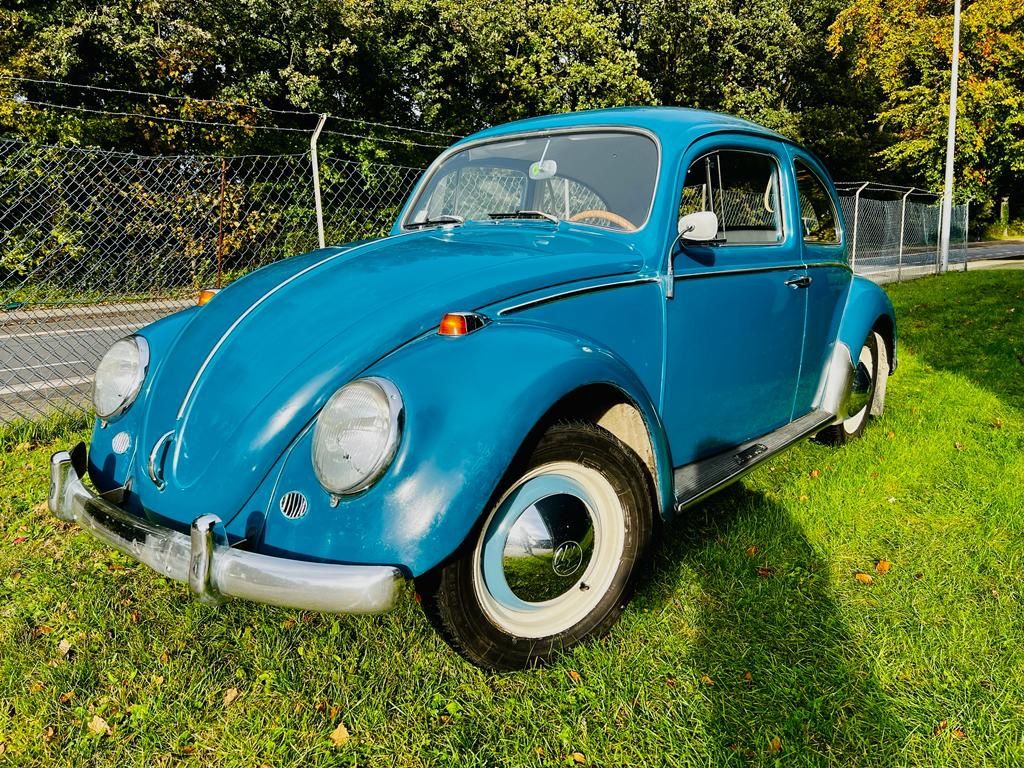 Volkswagen Käfer Dickholmer Patina und Erstlack