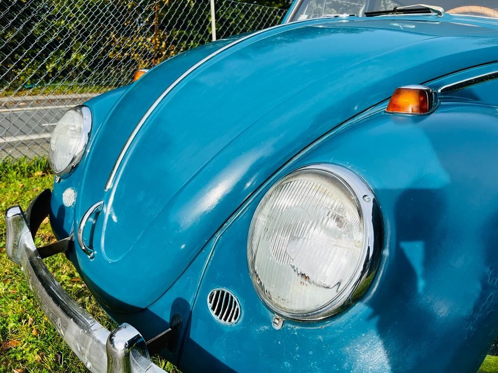 Volkswagen Käfer Dickholmer Patina und Erstlack