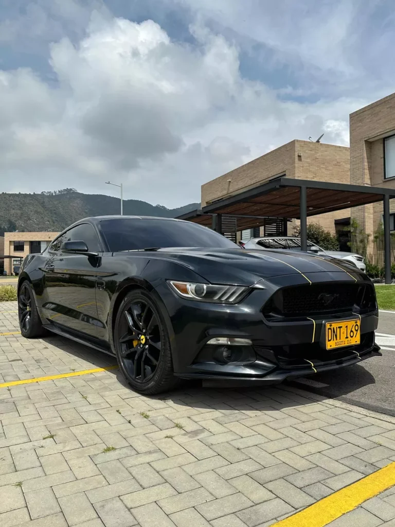 Ford Mustang Gt Ford Mustang Gt 5.0