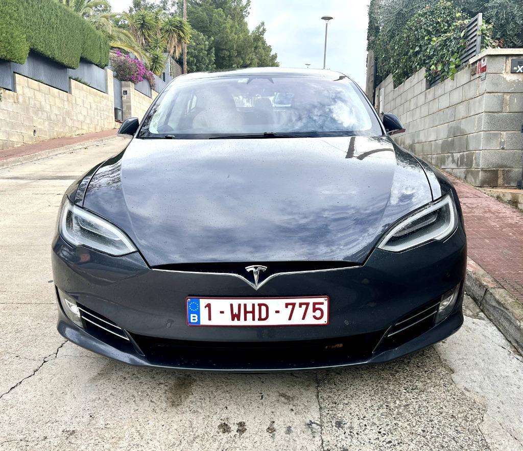 Tesla S100 2019