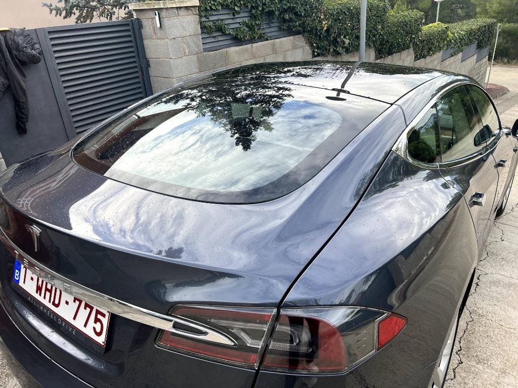 Tesla S100 2019
