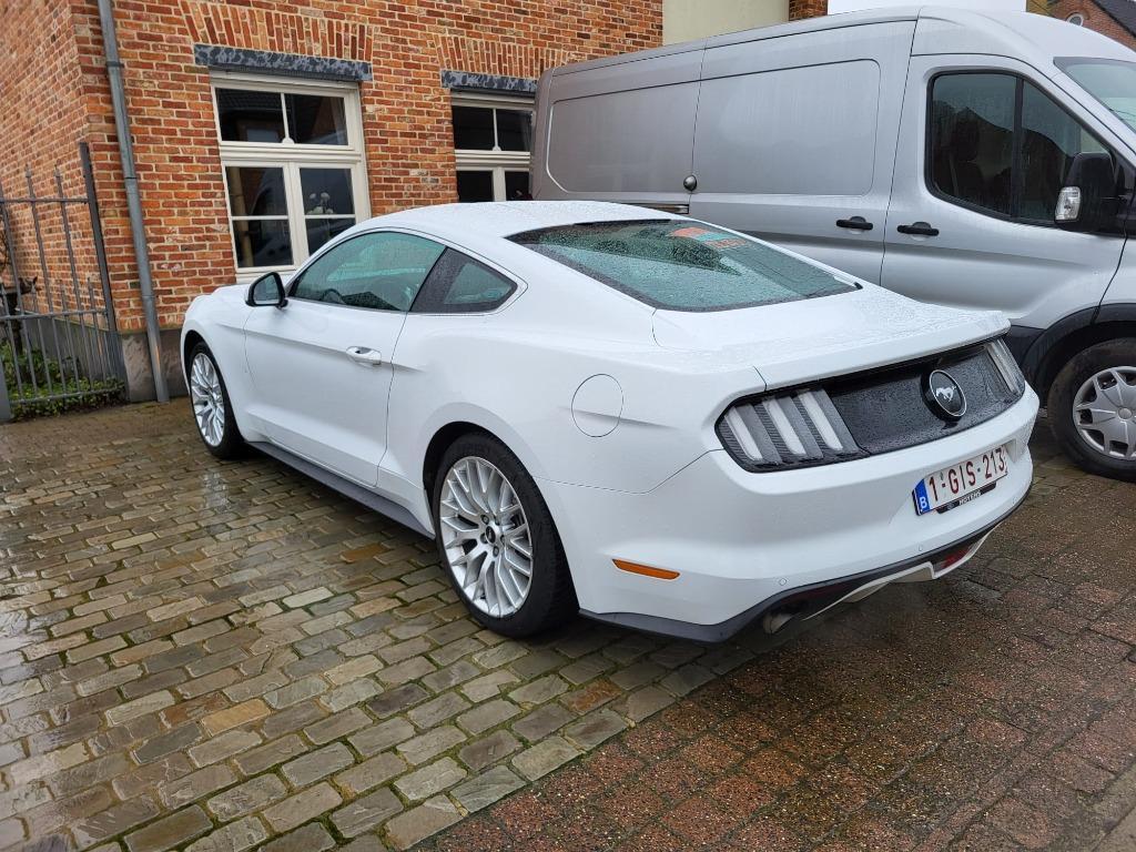 Ford Mustang ecoboost lpg