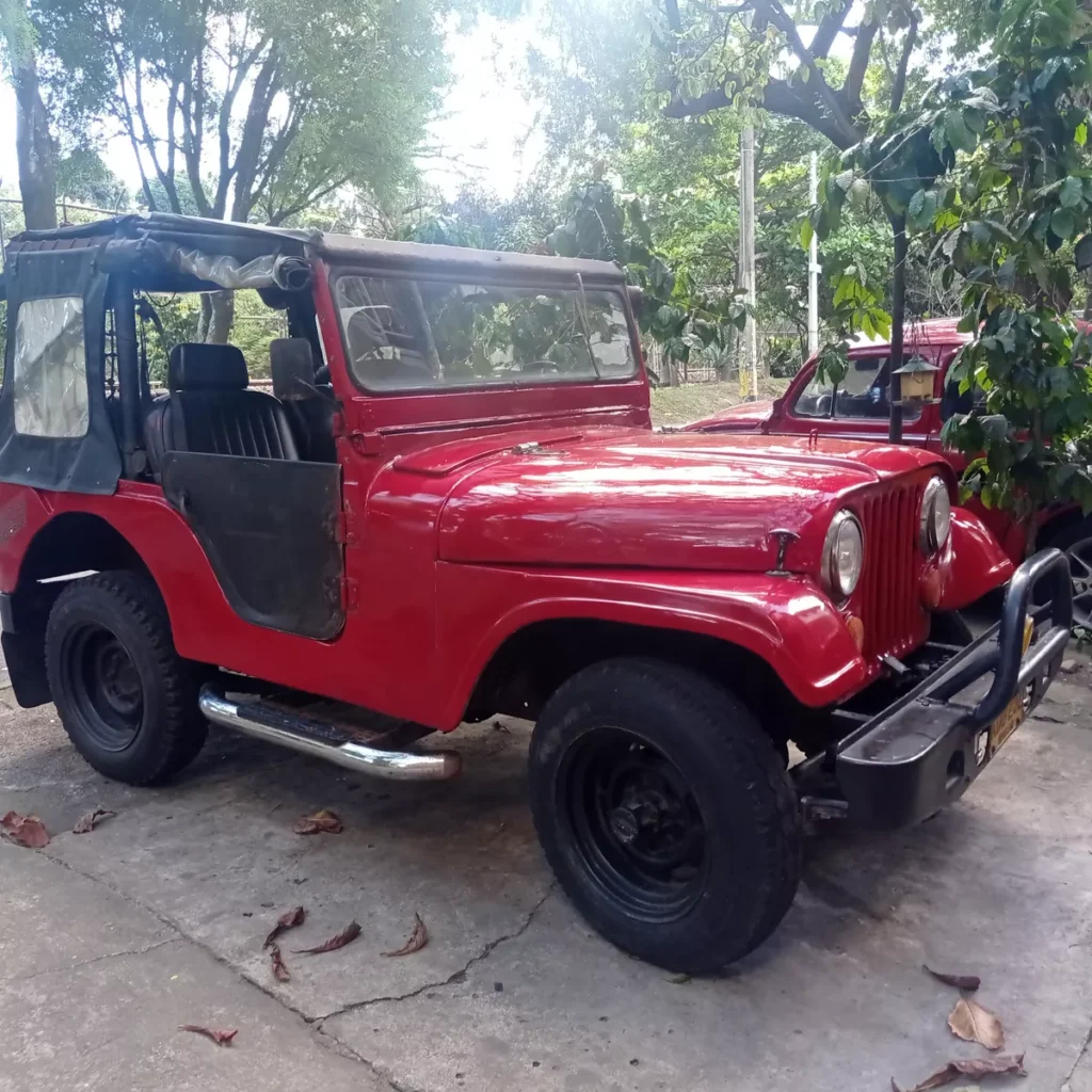 Jeep Willys Oreja De Perro