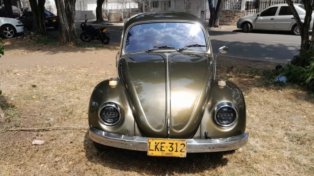 Volkswagen Bug 1965