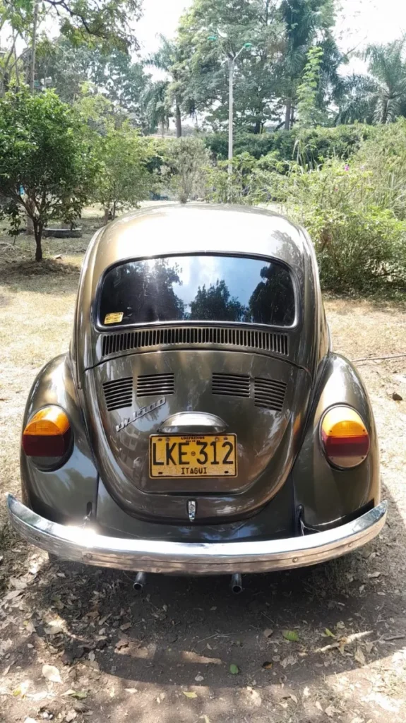 Volkswagen Bug 1965