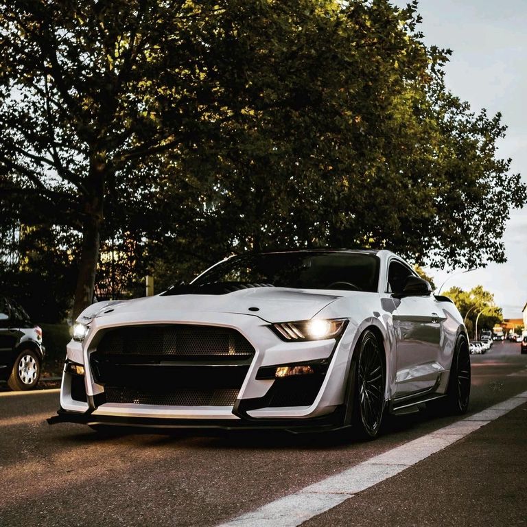 Ford FORD MUSTANG GT 5.0 V8 PREMIUM GT 500 OPTI...