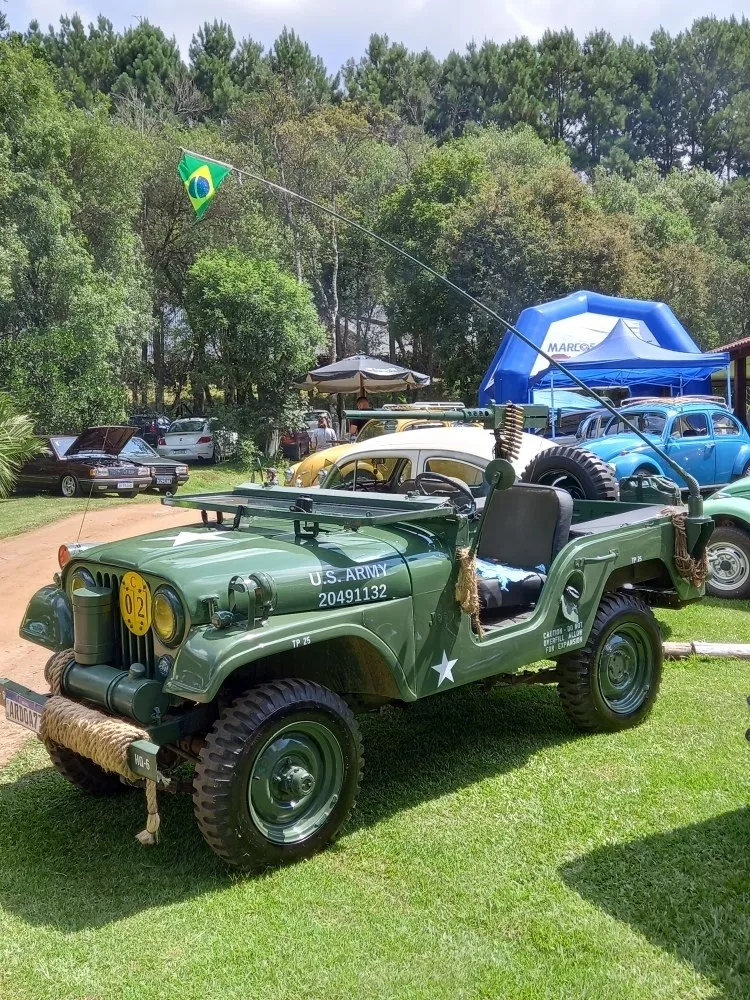 Jeep Willys Placa Preta